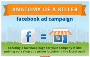 facebook ad campaign Infographic