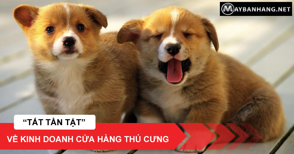 TẤT TẦN TẬT VỀ KINH DOANH CỬA HÀNG THÚ CƯNG