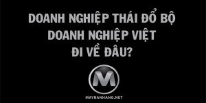 doanh nghiệp thái đổ bộ - doanh nghiệp việt đi về đâu